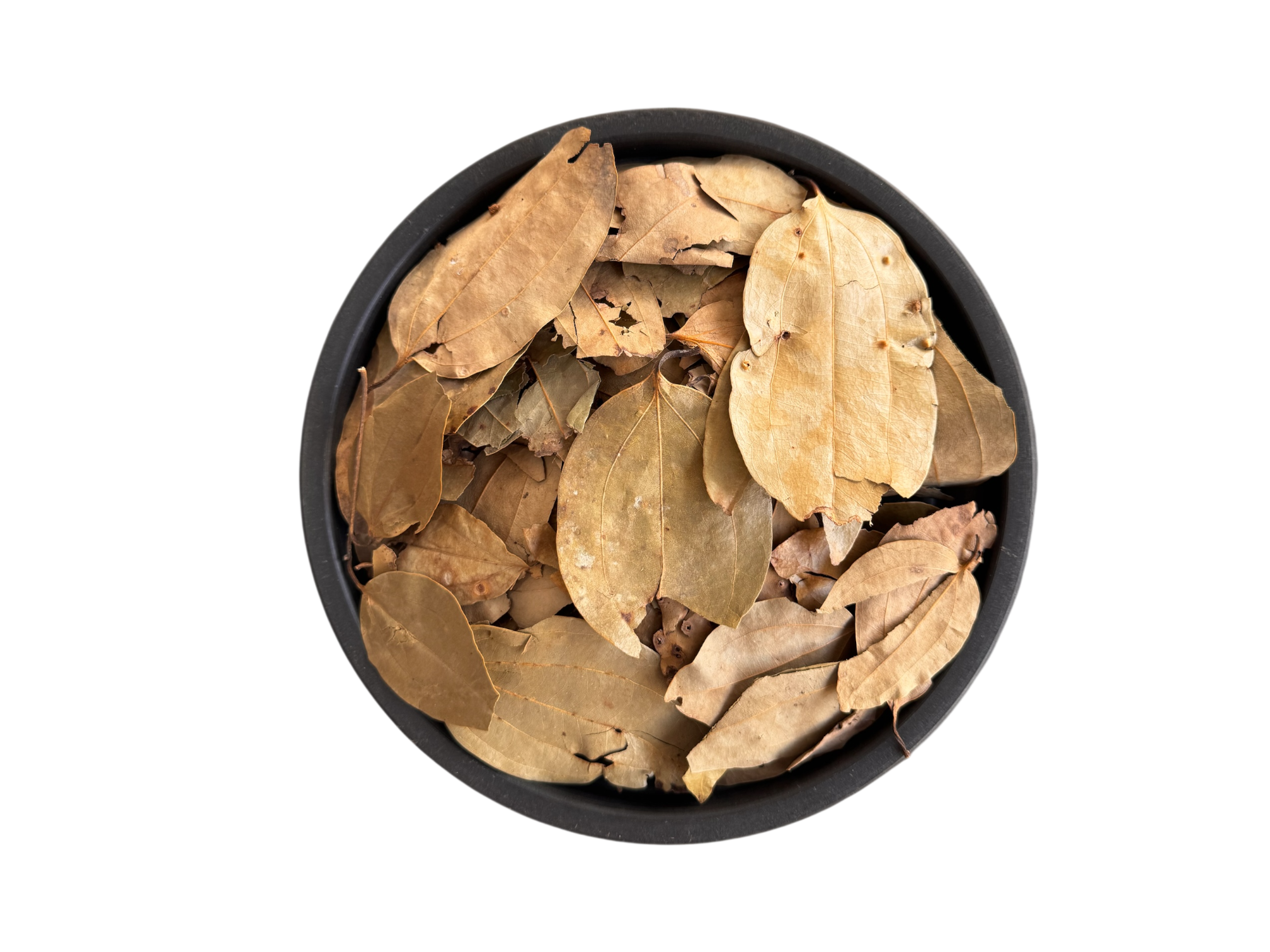 Cassia Cinnamon | Bay leaves | Tez pat | tez paat | تیزپات