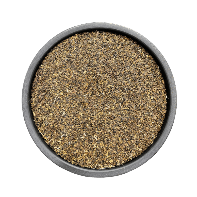 Kali zeeri | korh zeeri | black cumin seeds | kali jeeri | کالی زیری
