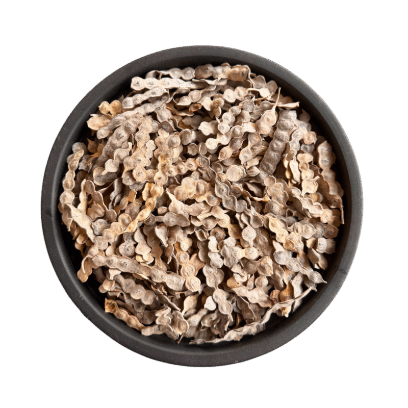 Kikar phali | کیکر پھلی | پھلی ببول