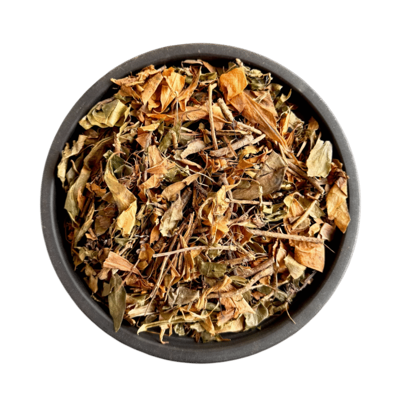 Nazar panra | skimmia laureola | نظر پانڑا| نزر پانڑا| نذر پانڑا