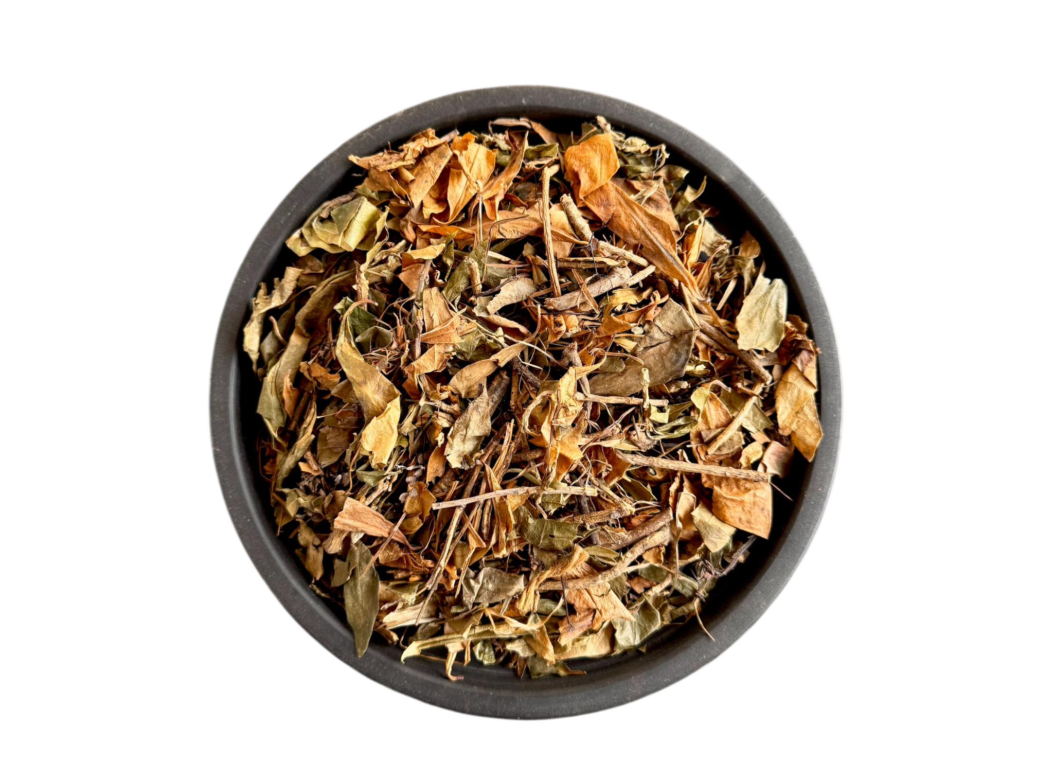 Nazar panra | skimmia laureola | نظر پانڑا| نزر پانڑا| نذر پانڑا