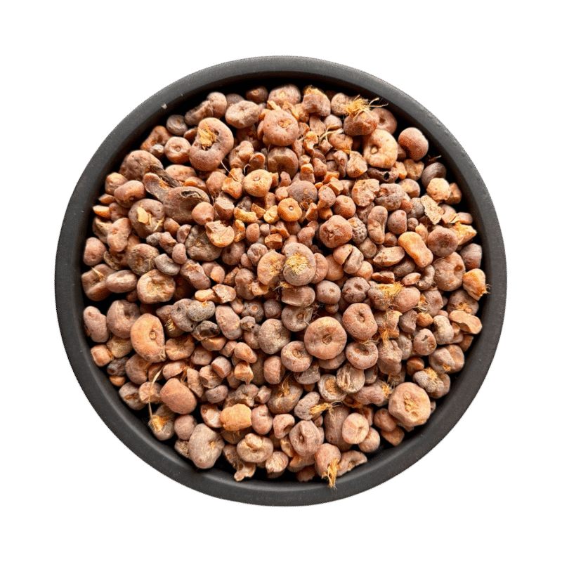 Zarawand | zaravand | زراوند مدحرج | زراوند