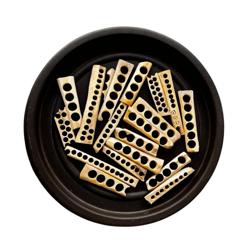 Elephant Teeth | Hathi Dant | ہاتھی دانت | دندان فیل | ہاتھی کے دانت