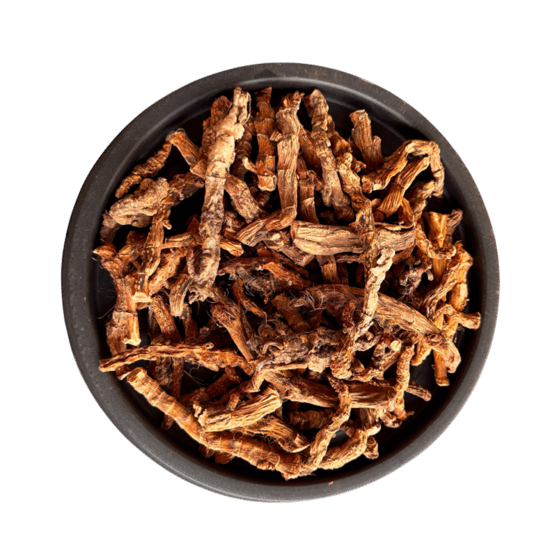 Sweet flag | Gurbach | گڑبچ | وج ترکی