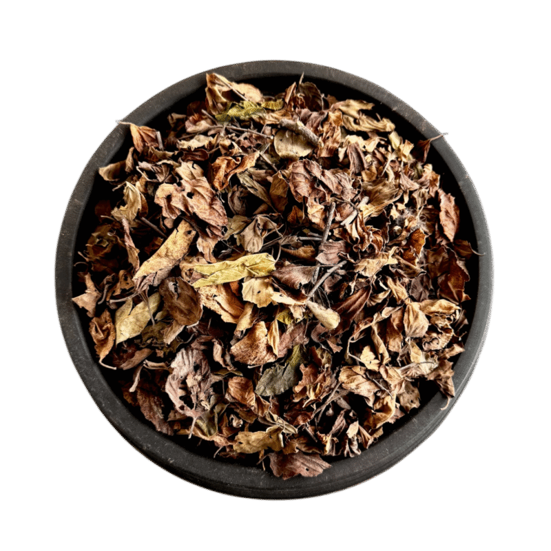 Sidr leaves | sidr leaf | Bairy leaf | berry leaves | berg e berry | بیری کے پتے |