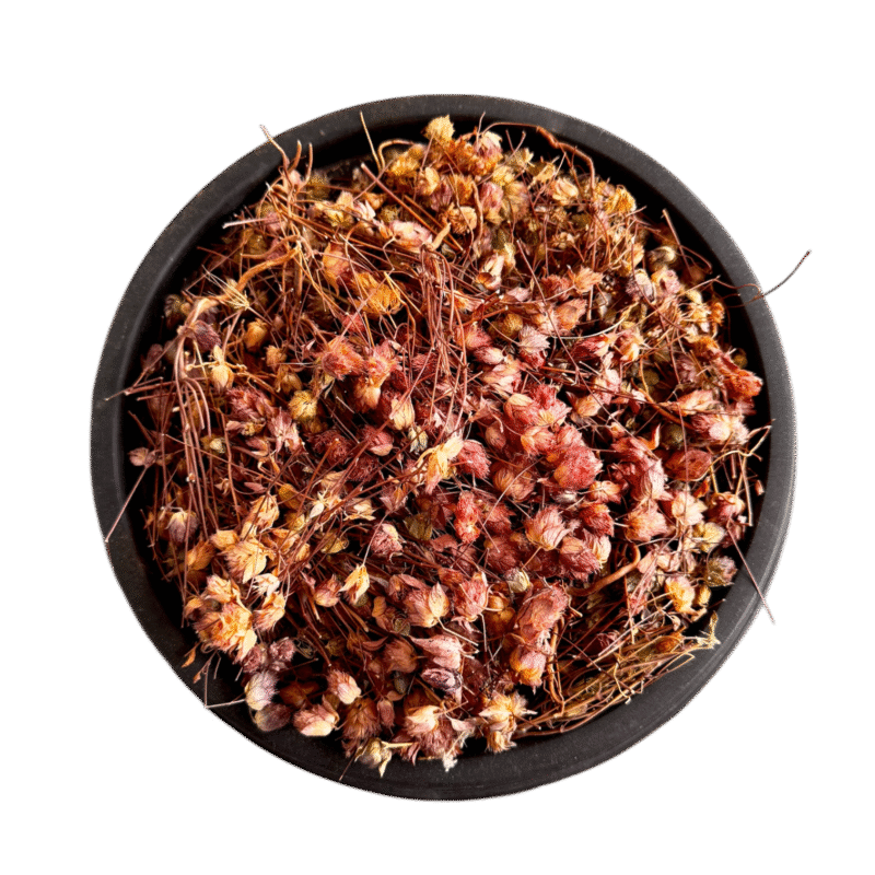 Hyssop | Gul zoofa | gul e zoofa | گل زوفہ