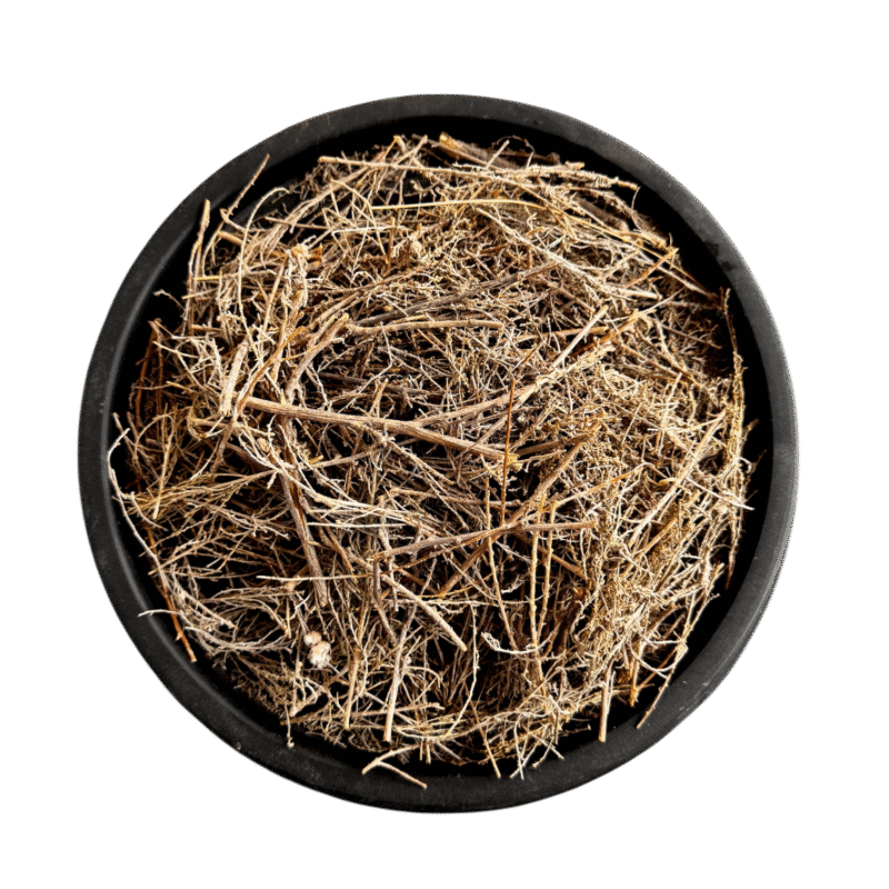 Common wormwood | afsanteen booti | افسنتین بوٹی