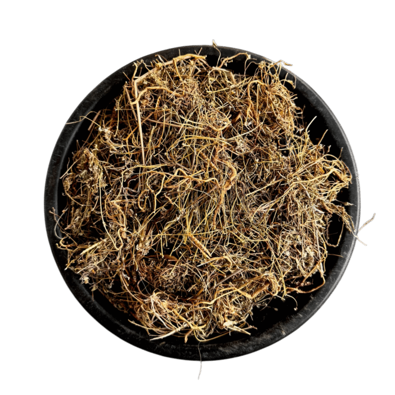 Fathe khane | فتے خانے | پتے خانے