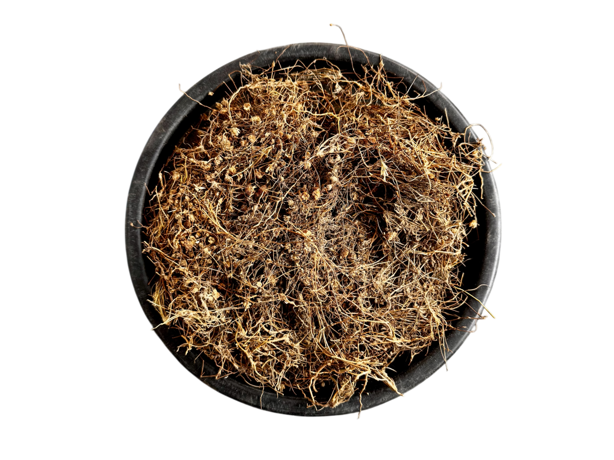 Aftimooni | aftemooni | افتیمونی