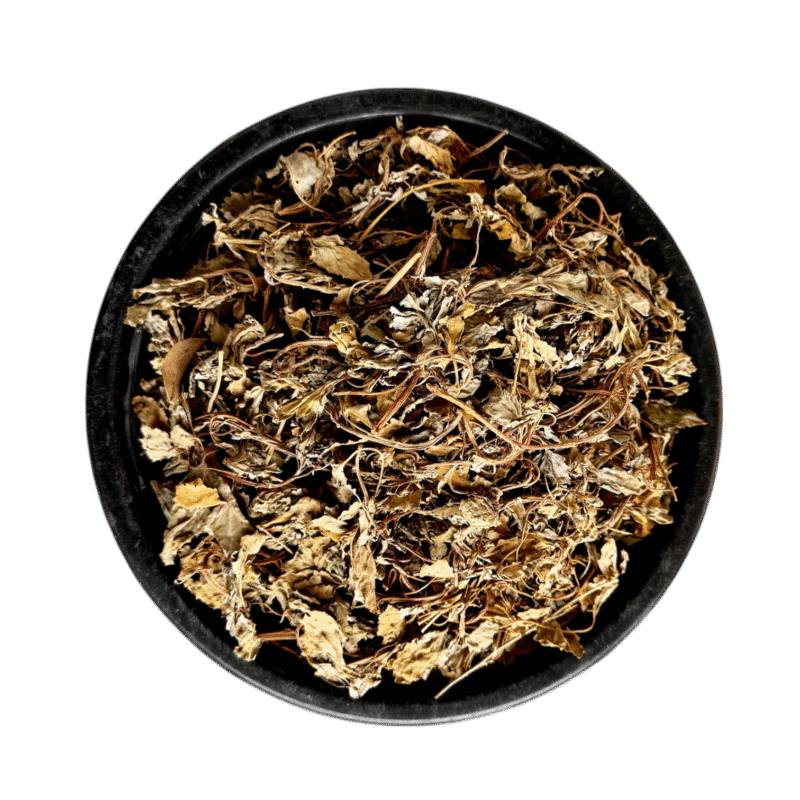 Brahmi booti | barhami booti | برہمی بوٹی | برھمی بوٹی