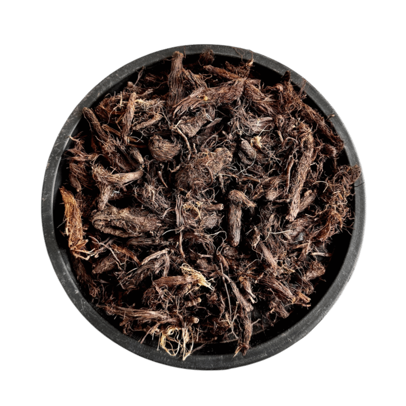 Jatamansi | Balchar | baalchar | balcharh | بالچھڑ