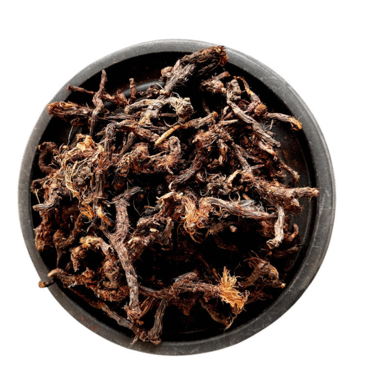 Cypriol plant | Nagarmotha | nagar motha | ناگرموتھا