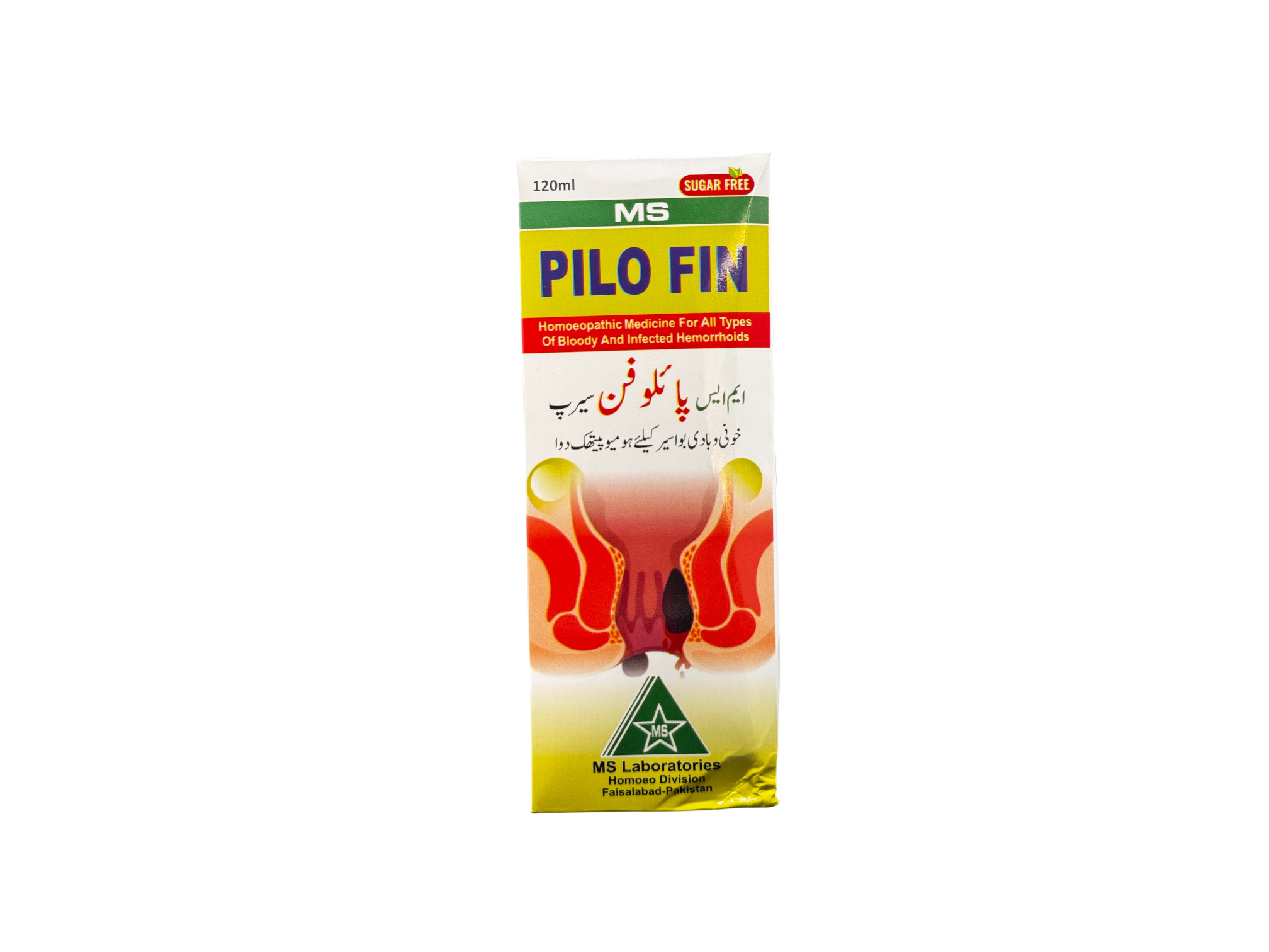 Pilo fin | پائلو فن