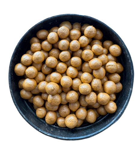 PhotoRoom-20250704_221648