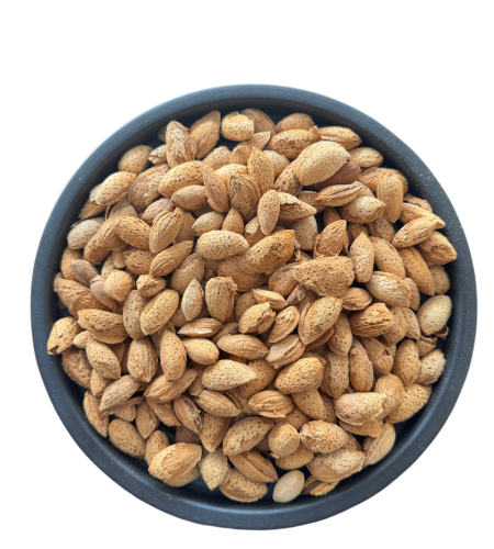 PhotoRoom-20250705_163543